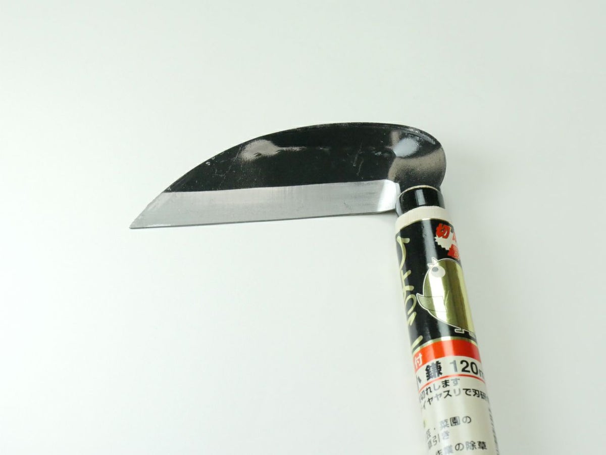 ひよっこ小鎌　（鋼付120mm）