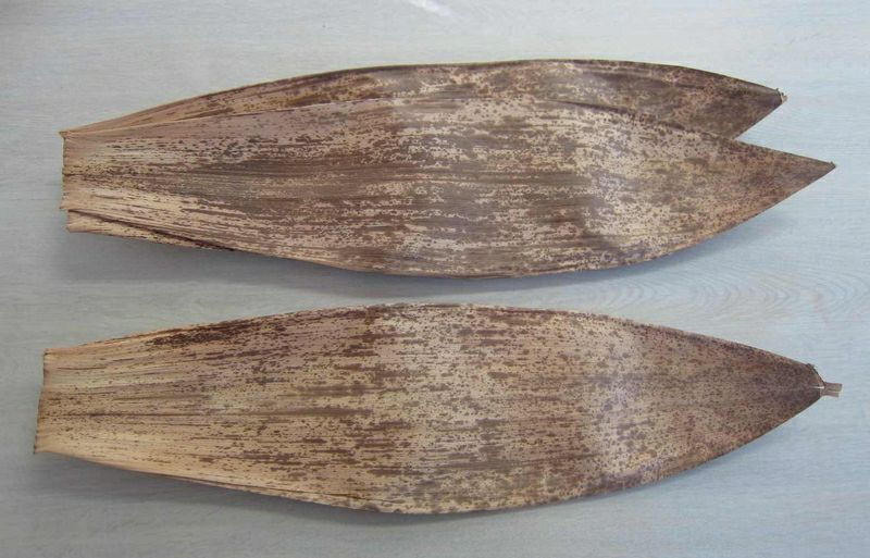 創作ばれん専用　竹皮（3枚セット）